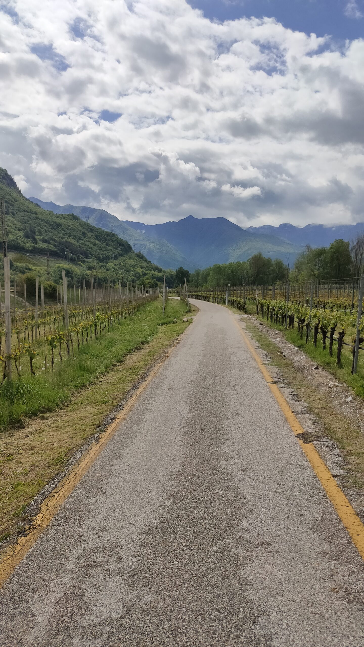 Ciclabile Bolzano – Trento